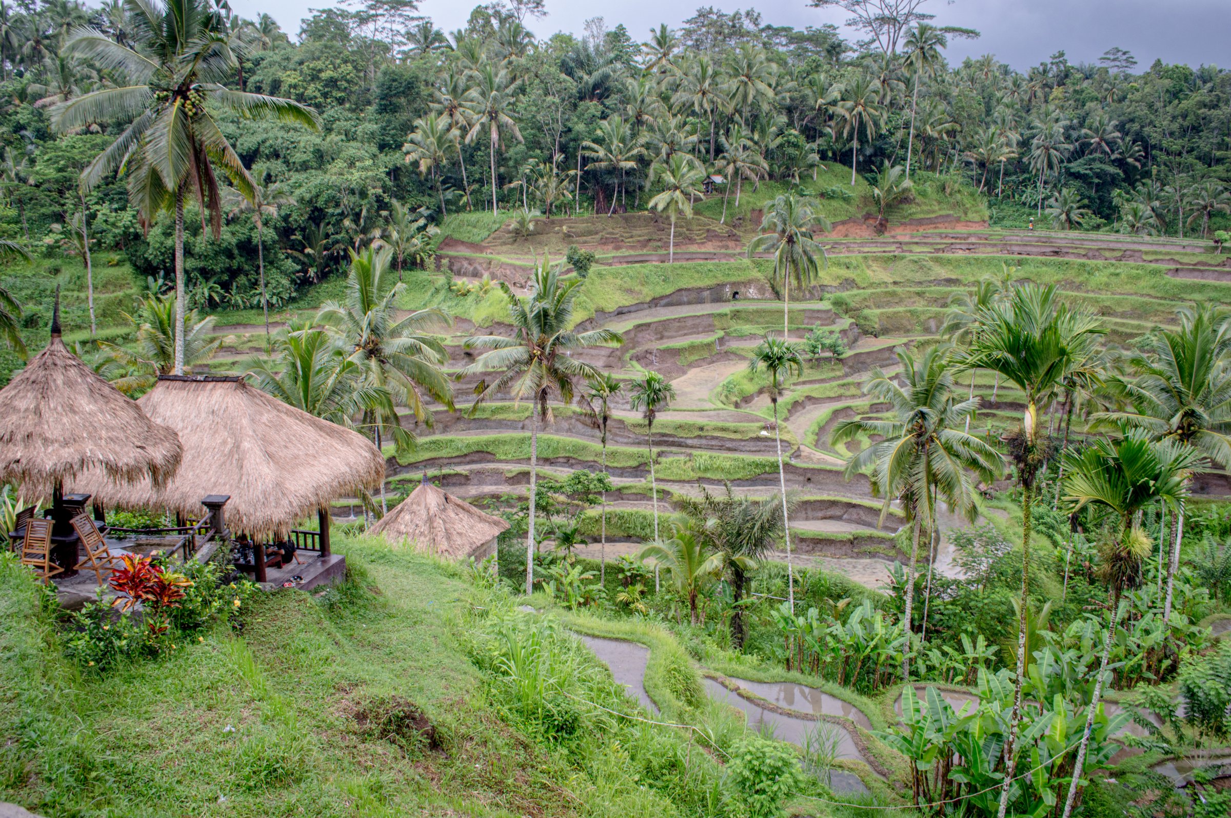 Bali